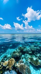 Wall Mural - A panoramic view of a serene reef barrier, with crystal clear water and a bright blue sky in the distance