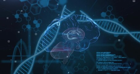 Wall Mural - Animation of scientific data processing over human brain and dna strands on dark background
