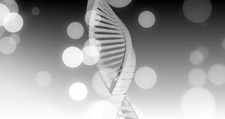 Canvas Print - Animation of dna strand over white spots moving