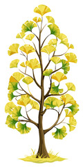 Poster - Vibrant Ginkgo Tree Illustration With Yellow And Green Leaves - Illustration of a ginkgo tree featuring vibrant yellow and green fan-shaped leaves, highlighting nature's beauty and botanical diversity