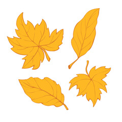 Wall Mural - Vector set of golden abstract leaves in flat doodle style, isolated on white background. Hand drawn clip arts, symbol of autumn, nature