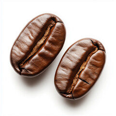 Two shiny fresh roasted coffee beans isolated on white background.