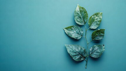 Poster -   Green leaves atop blue surfaces with two layers of green leaves on top