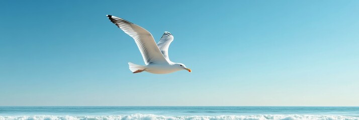 A single seagull glides effortlessly through a vast expanse of clear blue sky, symbolizing freedom, tranquility, and the beauty of nature. The ocean waves gently break in the distance, adding a sense 