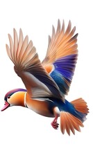 Poster - Mandarin Duck Bird Flying on White Background, Photo Realistic, Wallpaper, Cover and Screen for Smartphone, PC, Laptop, 9:16 and 16:9 Format