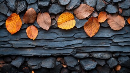 Sticker - Autumn Leaves Resting on Rough Black Stone