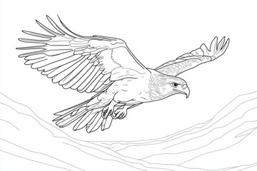 Flying bird of prey in continuous line art drawing style with black linear background and white eagle in flight.