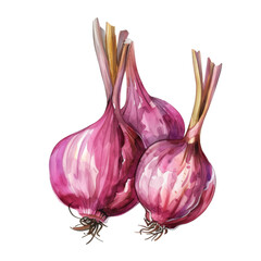 Wall Mural - Two watercolor painted red onions with green stems on a white background.