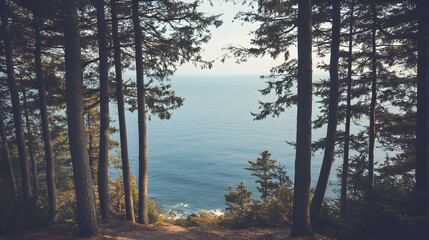 Wall Mural - A tranquil ocean view from a forested bluff with tall trees framing the distant horizon and the calm sea below.