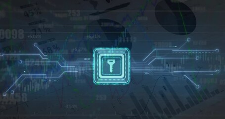 Wall Mural - animation of key icon, digital data processing and circuit board over computer servers