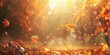 © Irfanan - Autumn Serenity. Fall foliage and tranquil nature background concept