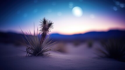 Canvas Print - Serene desert landscape at sunset