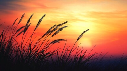 Poster - Sunset over grassy field with orange and