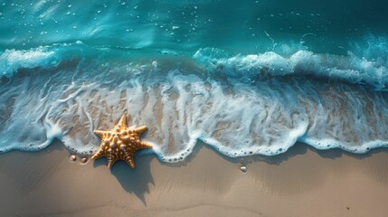 Wall Mural - A starfish and a bunch of shells are on the beach