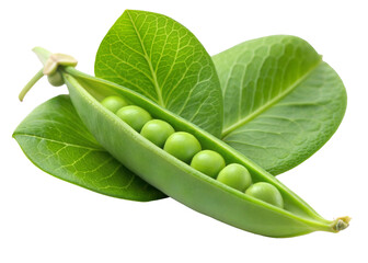 green peas on a white