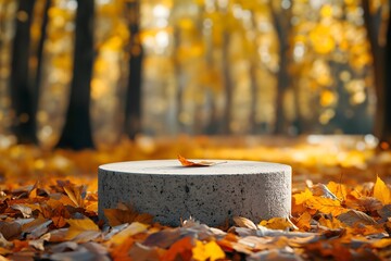 Wall Mural - Autumn Leaves on Concrete Platform in Forest