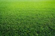 © Dzikrul Husnani - High Resolution Green Soccer Field Grass Texture Background , ai