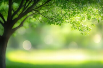 Blurred of green natural tree in park background , ai