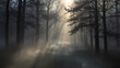© AriefSaptaAdjie - Dense Fog with Light Rays