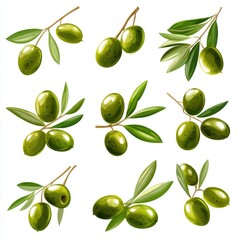 Wall Mural - Bountiful Collection of Fresh Green Olives from Mediterranean Plantation