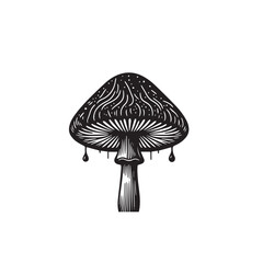 Sticker - Mushroom vector design. Mushroom logo, icon design. Mushroom illustration isolated on white background.