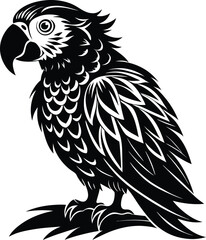 Wall Mural - black parrot vector illustration silhouette, Print