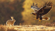 © Elmin - A powerful image shows a golden eagle swooping down to catch a rabbit.