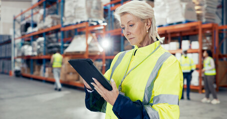 Canvas Print - Warehouse, mature woman and tablet as supervisor on logistic, quality control or stock management. Engineer, tech and maintenance in freight, supply chain or factory at shipping company in inspection