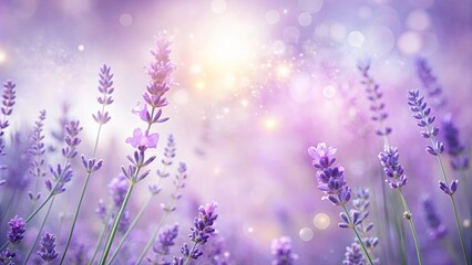 Wall Mural - Soft and subtle lavender hues create a delicate and dreamy background