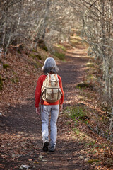 Woman walking in the woods. Healthy lifestyle. Natural environment