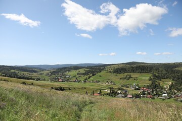 Wall Mural - Picturesque view of houses and forest in mountains under blue sky