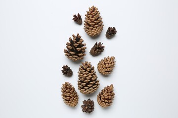 Wall Mural - Different cones on white background, flat lay