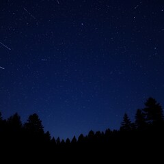 Wall Mural - A starry night sky over a silhouette of trees.