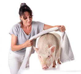 Wall Mural - miniature pig and woman in studio