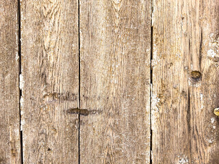 Poster - Embrace the Natural Canvas: Elevate Your Designs with the Enchanting Beauty of Wooden Texture