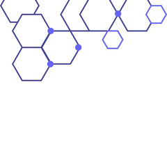 Wall Mural - Hexagon Line Corner 