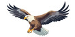 © chekman - Eagle logo design. Image of flying eagle. Cute eagle emblem. Vector illustration.
