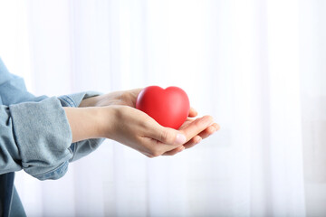 Wall Mural - Woman holding red heart on light background, closeup