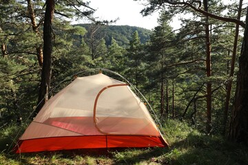 Wall Mural - Modern camping tent in forest at summer, space for text