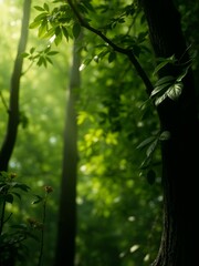 Wall Mural - Sunlight filters through the dense green leaves of a forest.