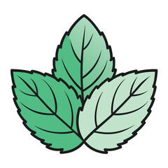 Wall Mural - Mint leaf clip art, vector illustration on white background.