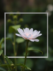 Sticker - A single white flower blooms in a field of green.