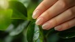 © atipong - Close up woman nails after bad manicure on the background of a green leaf.Overgrown cuticle fingernails and tainted nail plate. Blurred. Grew nails. Gel nail polish fell off. Healthy and care concept