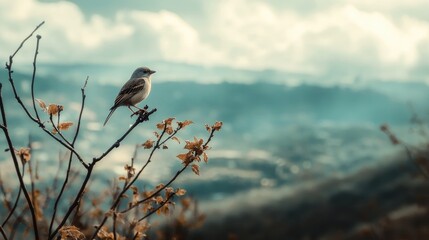 Wall Mural - A Lone Bird Perched on a Branch Against a Misty Background