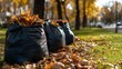 © atipong - Black plastic bags with tree leaves. There are large black plastic garbage bags filled with fallen dried leaves on the grass. Seasonal cleaning of city streets from fallen leaves. Cleaning