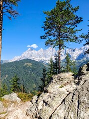 Canvas Print - Scenic view of a mountain range with a clear blue sky, framed by trees and rocky foreground