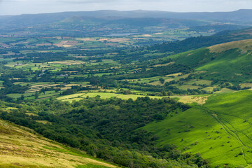 farmland and green rural scenery