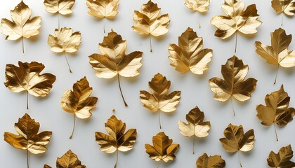 Canvas Print - elegant display of golden leaves on a pristine white background