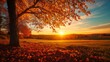 © Dougie C - A serene autumn sunset illuminates a golden field with vibrant orange and red leaves under a large tree.