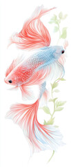 Two fish with pink and blue fins are swimming in a green leafy background